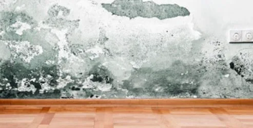 3 Ways to Stop Mould Growing in Your House