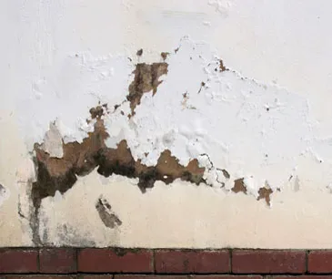Paint flaking and blistering off a rendered wall just above the brick base, a sign of rising damp