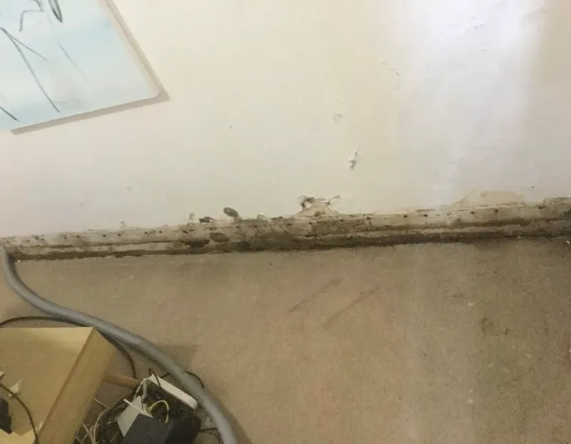 Damp-rotted skirting board and flaking paint along the base of a wall in the Turramurra semi before rising damp treatment