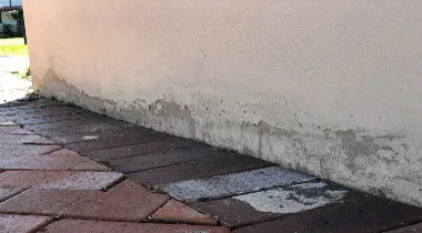 Damp staining along the base of the rendered external wall of the Turramurra semi