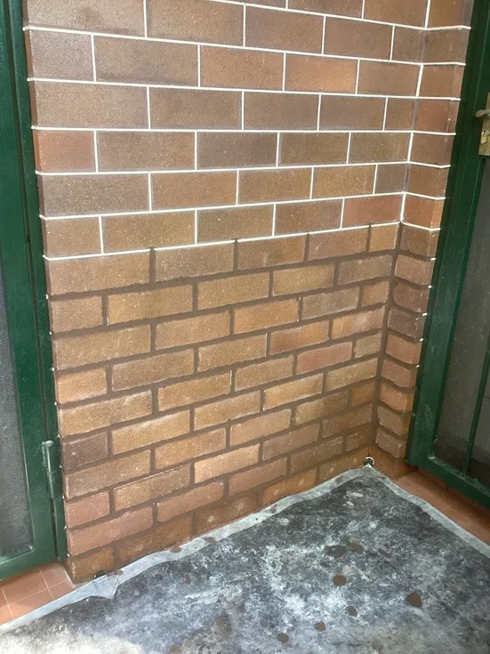 External brickwork at Mosman home showing visible damp line where fresh mortar is deteriorating