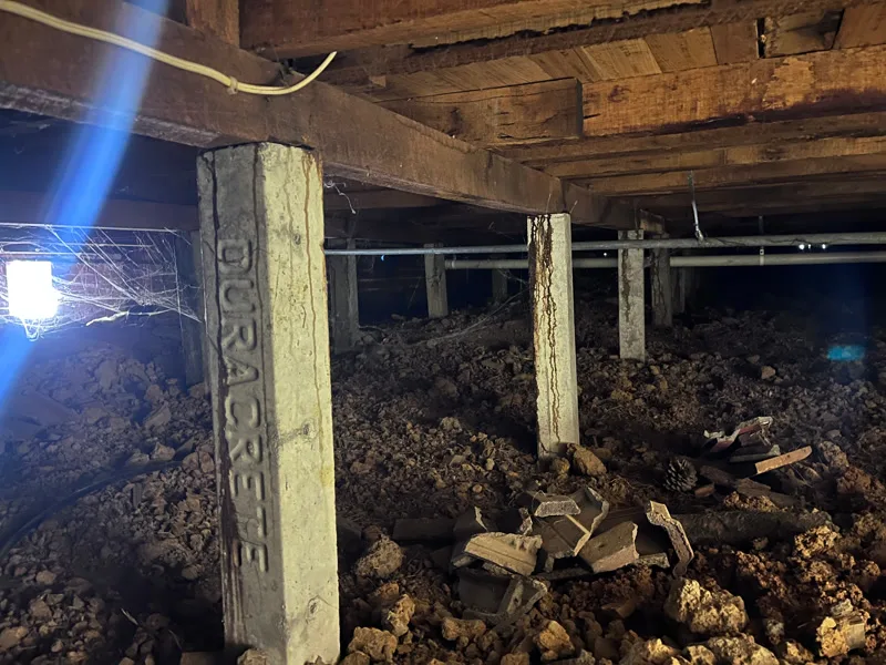 Concrete stumps in good condition sitting on weakened soil beneath subfloor