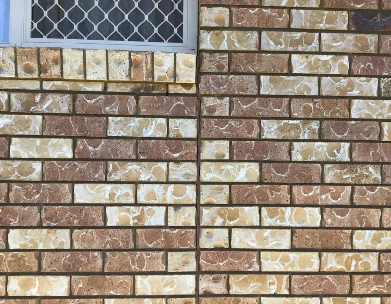 The same wall of the Penrith granny flat after GeoPoly™ injection, the crack through the face bricks closed