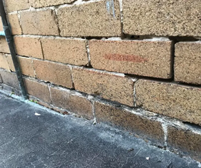 Corroded bitumen damp proof course membrane in a brick wall allowing moisture through