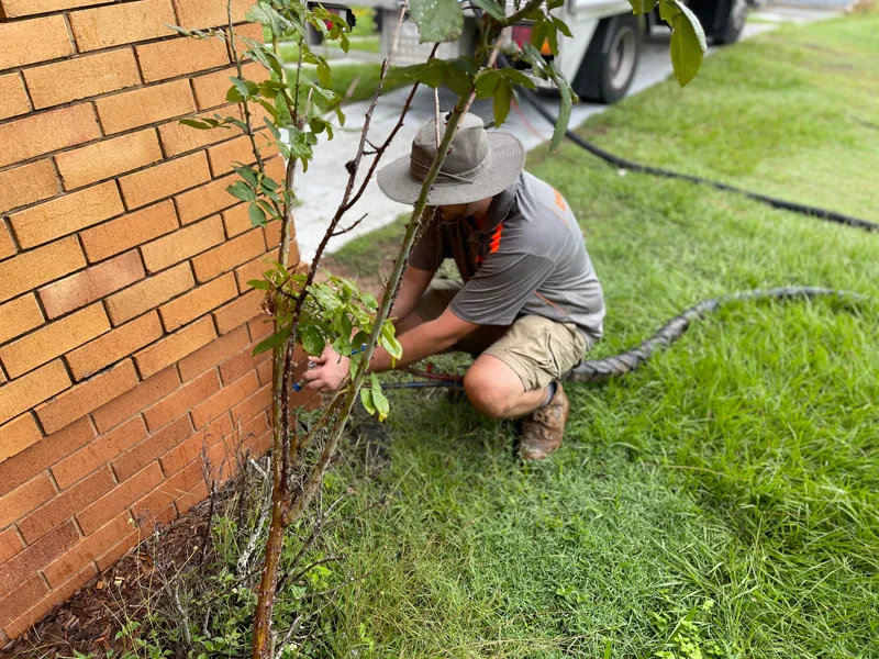 Worker crouching at brick wall base injecting resin near garden
