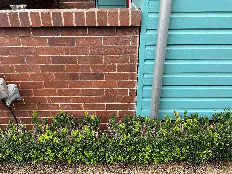 Close-up of brick pier and weatherboard wall intersection
