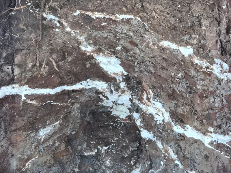 Cured GeoPoly GER60 geopolymer resin veining through soil beneath a home foundation