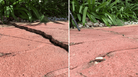 Cracked red paved path before and after GeoPoly foundation repair surrounded by plants.