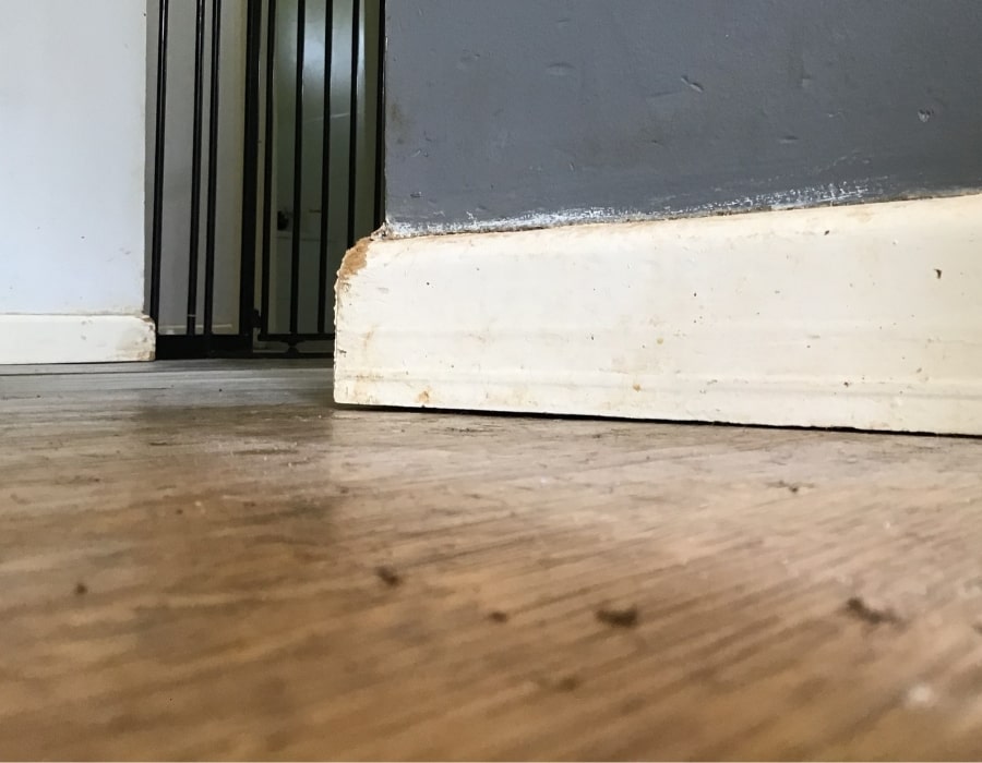 GeoPoly foundation repair stabilises baseboard subsidence near open doorway.