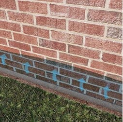 Untreated rising damp on a brick wall