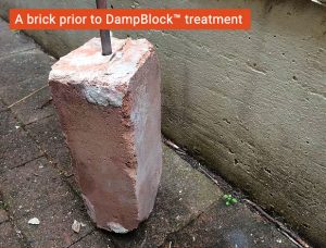 Before damp solution
