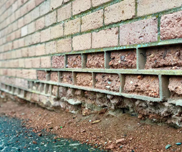 Salt damp in masonry brick