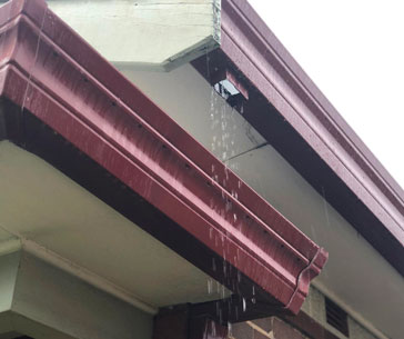 Clogged gutters