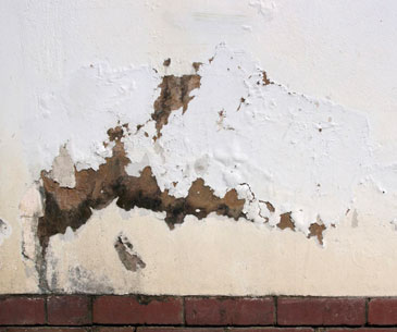 rising-damp1 rising-damp1