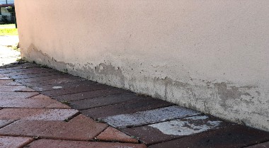 Rising Damp in residential home