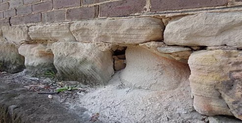 Salt Damp in masonry bricks