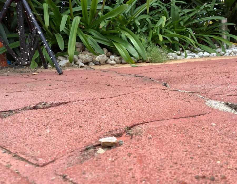 Cracked brick pavement showing subsidence and foundation movement near garden edge.