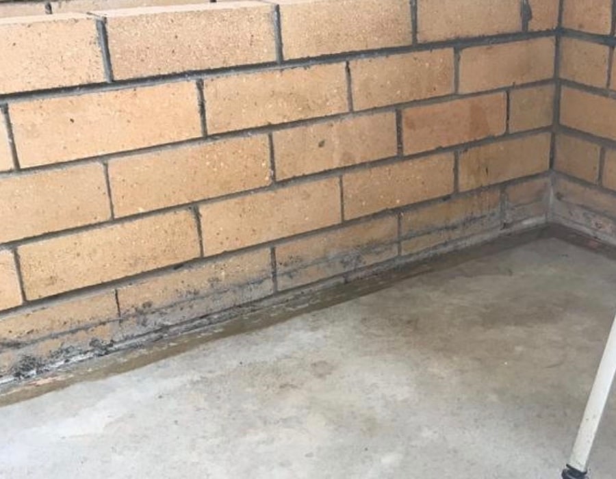 Brick wall with rising damp, black mould, and water-damaged foundation repair needed.