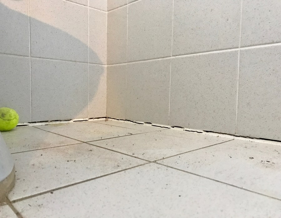 Cracked grout and missing tiles indicate subsidence-related foundation repair needs.