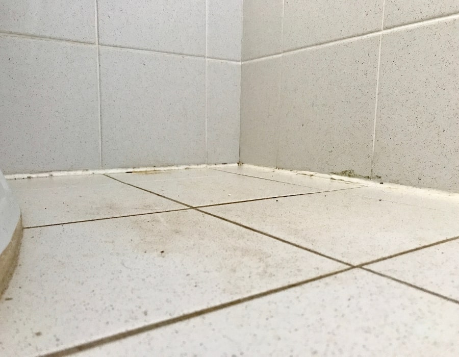 Bathroom tile grout with mould, rising damp, and wall cracks needing GeoPoly repair.