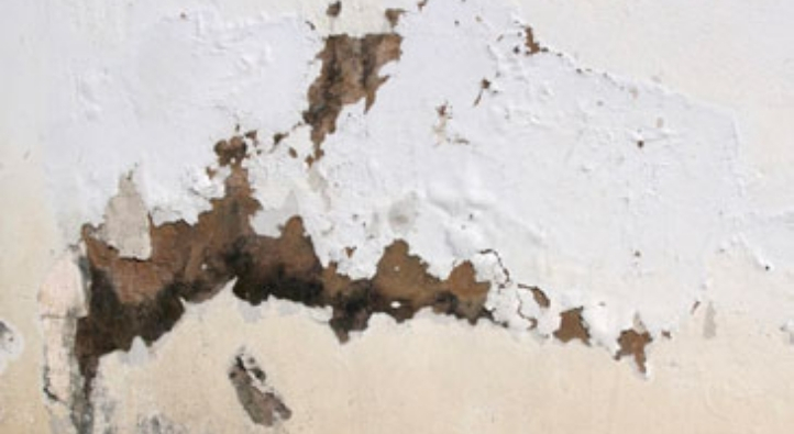 Flaking, Blistering or Powdery Paint and Cracks