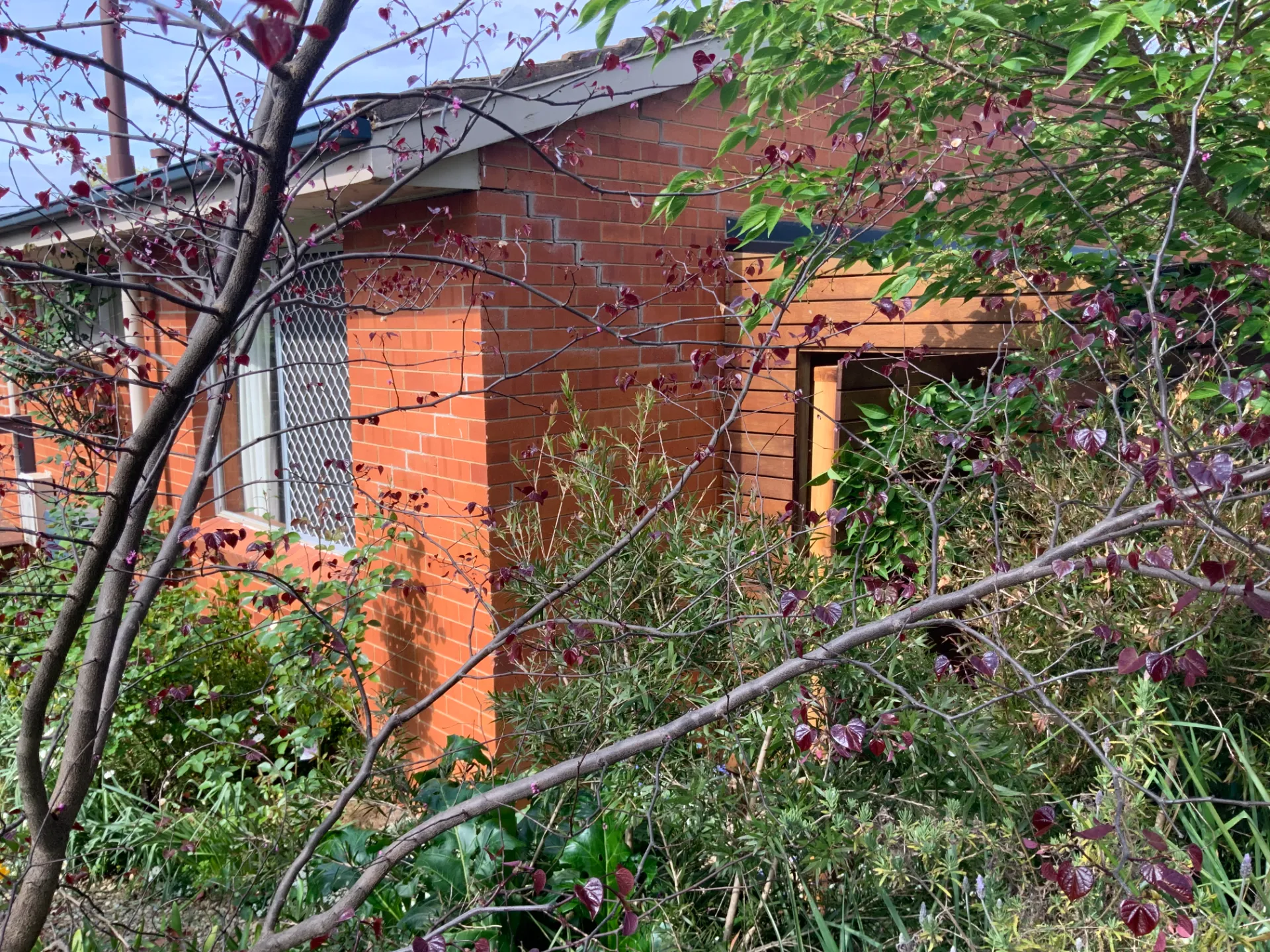 Red brick home with subsidence, wall cracks obscured by thick foliage.