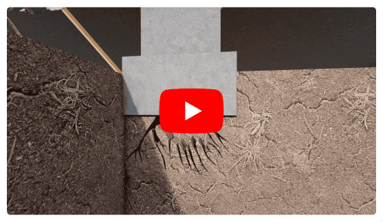 Cross-section illustrating foundation subsidence from dry, cracked soil with visible wall cracks.