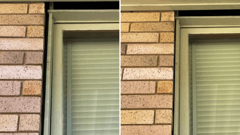 Brick wall crack sealed to block wasp entry, preventing foundation repair issues.
