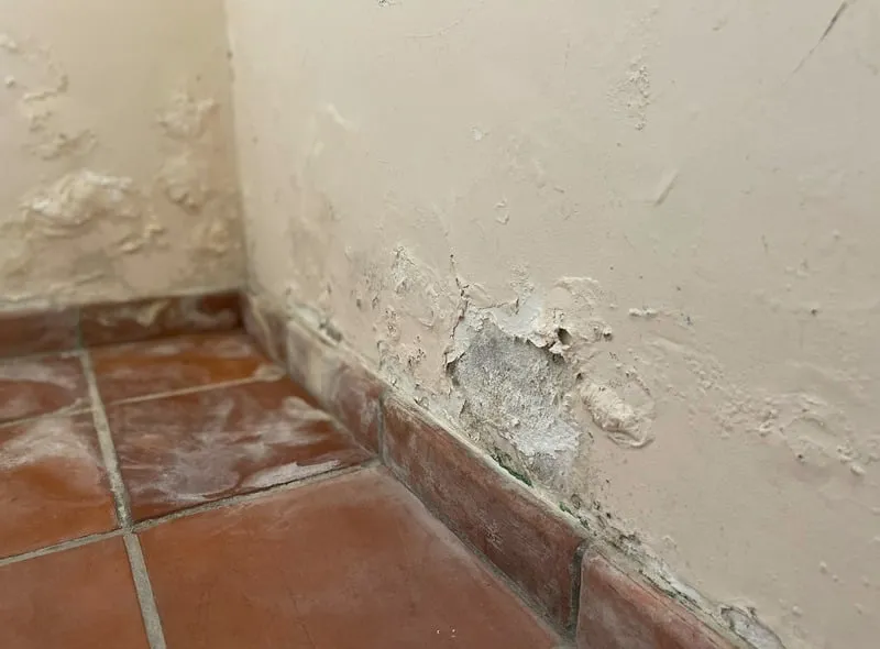 Yellow stains and peeling paint indicating rising damp.