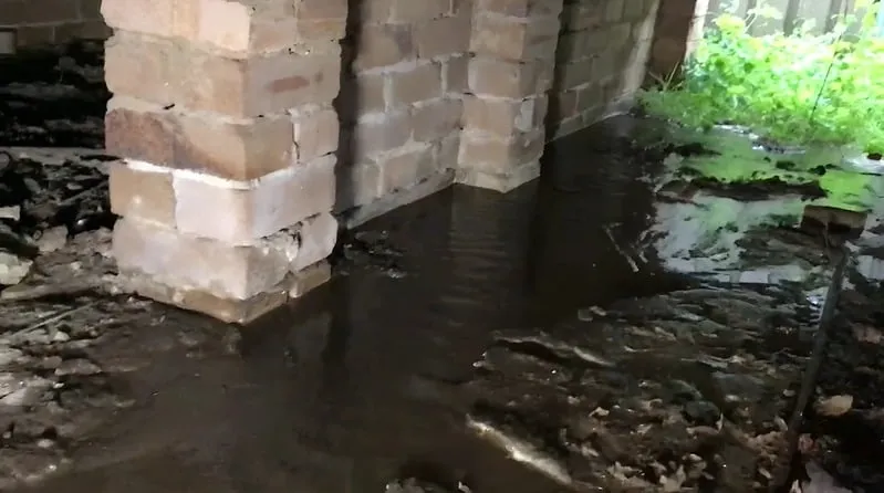 Water pooling near foundation causing drainage issues.